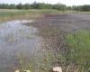 The inactive flotation tailings pond in Gyöngyösoroszi, Hungary