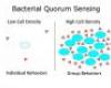 Quorum sensing