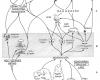 Food chains of oak forests in Europe