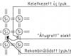 Lyukvezetés