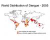 Dangue fever prevalence