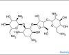 http://www.onlinepharmacycatalog.com/drugs-medications/antibiotics/neomycin/neom