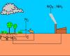 A nitrogén körforgása a természetben