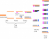 Polimerase chain reaction (PCR)