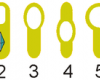 The location of the endospore in the cell