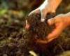 A talaj összes szénhidrát-tartalmának meghatározása