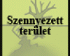 Szennyezett terület környezetmenedzsmentje